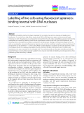 báo cáo khoa học: " Labelling of live cells using fluorescent aptamers: binding reversal with DNA nucleases"