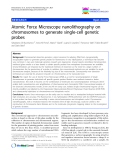 báo cáo khoa học: " Atomic Force Microscope nanolithography on chromosomes to generate single-cell genetic probes"