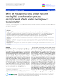 báo cáo khoa học: " Effect of mesoporous silica under Neisseria meningitidis transformation process: environmental effects under meningococci transformation"