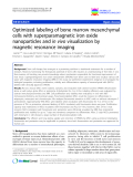 báo cáo khoa học: "Optimized labeling of bone marrow mesenchymal cells with superparamagnetic iron oxide nanoparticles and in vivo visualization by magnetic resonance imaging"