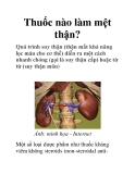 Thuốc nào làm mệt thận?