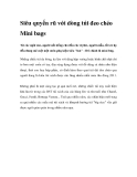 Siêu quyến rũ với dòng túi đeo chéo Mini bags