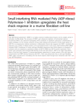 Báo cáo y học: "Small interfering RNA mediated Poly (ADP-ribose) Polymerase-1 inhibition upregulates the heat shock response in a murine fibroblast cell line"