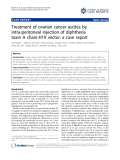 Báo cáo y học: "Treatment of ovarian cancer ascites by intra-peritoneal injection of diphtheria toxin A chain-H19 vector: a case report"