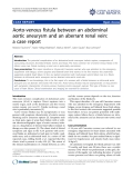 Báo cáo y học: "Aorto-venous fistula between an abdominal aortic aneurysm and an aberrant renal vein: a case report"