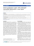 báo cáo khoa học: "Severe postpartum sepsis with prolonged myocardial dysfunction: a case report"