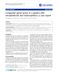 báo cáo khoa học: "Congenital spinal tumor in a patient with encephalocele and hydrocephalus: a case report"