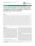 Báo cáo khoa hoc:"  Human haematopoietic stem cells express Oct4 pseudogenes and lack the ability to initiate Oct4 promoter-driven gene expression"