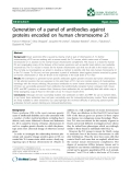 Báo cáo khoa hoc:"  Generation of a panel of antibodies against proteins encoded on human chromosome 21"