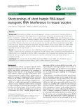 Báo cáo khoa hoc:"  Shortcomings of short hairpin RNA-based transgenic RNA interference in mouse oocytes"