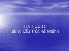 Bài giảng - Bài 9: Cấu Trúc Rẽ Nhánh