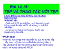 Bài 14,15: TỆP VÀ THAO TÁC VỚI TỆP 