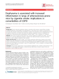 Báo cáo y học: "Emphysema is associated with increased inflammation in lungs of atherosclerosis-prone mice by cigarette smoke: implications in comorbidities of COPD"