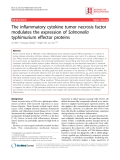 Báo cáo y học: "The inflammatory cytokine tumor necrosis factor modulates the expression of Salmonella typhimurium effector proteins"