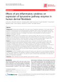 Báo cáo y học: "Effects of pro-inflammatory cytokines on expression of kynurenine pathway enzymes in human dermal fibroblasts"