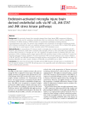 Báo cáo y học: "Endotoxin-activated microglia injure brain derived endothelial cells via NF-B, JAK-STAT and JNK stress kinase pathways"
