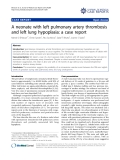 Báo cáo y học: " A neonate with left pulmonary artery thrombosis and left lung hypoplasia: a case report"