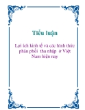 Tiểu luận: Lợi ích kinh tế và các hình thức phân phối  thu nhập  ở Việt Nam hiện nay