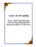 Luận văn tốt nghiệp: Một số giải pháp phát triển bán hàng bằng hình thức thương mại điện tử ở Việt Nam