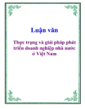 Đề tài: Thực trạng và giải pháp phát triển doanh nghiệp nhà nước ở Việt Nam