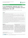 Báo cáo y học: "Ex vivo development, expansion and in vivo analysis of a novel lineage of dendritic cells from hematopoietic stem cells"