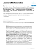 Báo cáo y học: "Chondroprotective effects of a proanthocyanidin rich Amazonian genonutrient reflects direct inhibition of matrix metalloproteinases and upregulation of IGF-1 production by human chondrocytes"