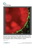 báo cáo khoa học: "Structure and expression of the maize (Zea mays L.) SUN-domain protein gene family: evidence for the existence of two divergent classes of SUN proteins in plants"