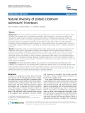 báo cáo khoa học: " Natural diversity of potato (Solanum tuberosum) invertases"