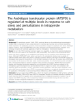 báo cáo khoa học: " The Arabidopsis translocator protein (AtTSPO) is regulated at multiple levels in response to salt stress and perturbations in tetrapyrrole metabolism"