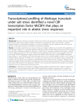 báo cáo khoa học: " Transcriptional profiling of Medicago truncatula under salt stress identified a novel CBF transcription factor MtCBF4 that plays an important role in abiotic stress responses"