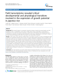 báo cáo khoa học: " Field transcriptome revealed critical developmental and physiological transitions involved in the expression of growth potential in japonica rice"