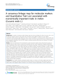 báo cáo khoa học: "A consensus linkage map for molecular markers and Quantitative Trait Loci associated with economically important traits in melon (Cucumis melo L.)"