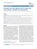 báo cáo khoa học: "Citramalic acid and salicylic acid in sugar beet root exudates solubilize soil phosphorus"