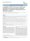 báo cáo khoa học: "Localization of DIR1 at the tissue, cellular and subcellular levels during Systemic Acquired Resistance in Arabidopsis using DIR1:GUS and DIR1:EGFP reporters"