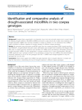 báo cáo khoa học: " Identification and comparative analysis of drought-associated microRNAs in two cowpea genotypes"