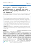 báo cáo khoa học: "Transcriptional analysis of cell growth and morphogenesis in the unicellular green alga Micrasterias (Streptophyta), with emphasis on the role of expansin"