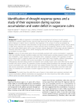 báo cáo khoa học: "  Identification of drought-response genes and a study of their expression during sucrose accumulation and water deficit in sugarcane culms"