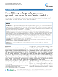 báo cáo khoa học: " From RNA-seq to large-scale genotyping genomics resources for rye (Secale cereale L.)"