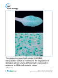 báo cáo khoa học: "The grapevine guard cell-related VvMYB60 transcription factor is involved in the regulation of stomatal activity and is differentially expressed in response to ABA and osmotic stress"