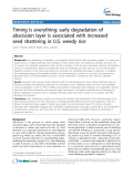 báo cáo khoa học: " Timing is everything: early degradation of abscission layer is associated with increased seed shattering in U.S. weedy rice"