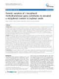 báo cáo khoa học: "Genetic variation of g-tocopherol methyltransferase gene contributes to elevated a-tocopherol content in soybean seeds"