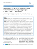 báo cáo khoa học: " Development of genic-SSR markers by deep transcriptome sequencing in pigeonpea [Cajanus cajan (L.) Millspaugh]"