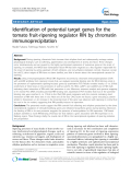 báo cáo khoa học: "  Identification of potential target genes for the tomato fruit-ripening regulator RIN by chromatin immunoprecipitation"