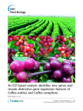 báo cáo khoa học: " An EST-based analysis identifies new genes and reveals distinctive gene expression features of Coffea arabica and Coffea canephora"