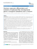 báo cáo khoa học: " Structure, expression differentiation and evolution of duplicated fiber developmental genes in Gossypium barbadense and G. hirsutum"