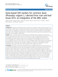 báo cáo khoa học: " Gene-based SSR markers for common bean (Phaseolus vulgaris L.) derived from root and leaf tissue ESTs: an integration of the BMc series"