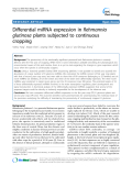 báo cáo khoa học: "  Differential miRNA expression in Rehmannia glutinosa plants subjected to continuous cropping"