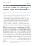 báo cáo khoa học: "  Identification of miRNAs and their target genes in developing soybean seeds by deep sequencing"