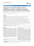 báo cáo khoa học: "  Integration of molecular biology tools for identifying promoters and genes abundantly expressed in flowers of Oncidium Gower Ramsey"