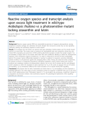 báo cáo khoa học: " Reactive oxygen species and transcript analysis upon excess light treatment in wild-type Arabidopsis thaliana vs a photosensitive mutant lacking zeaxanthin and lutein"